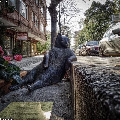 Camisa Polo Listrada